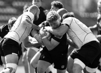 შავი ლომი კონკურენტულ ჯგუფშია